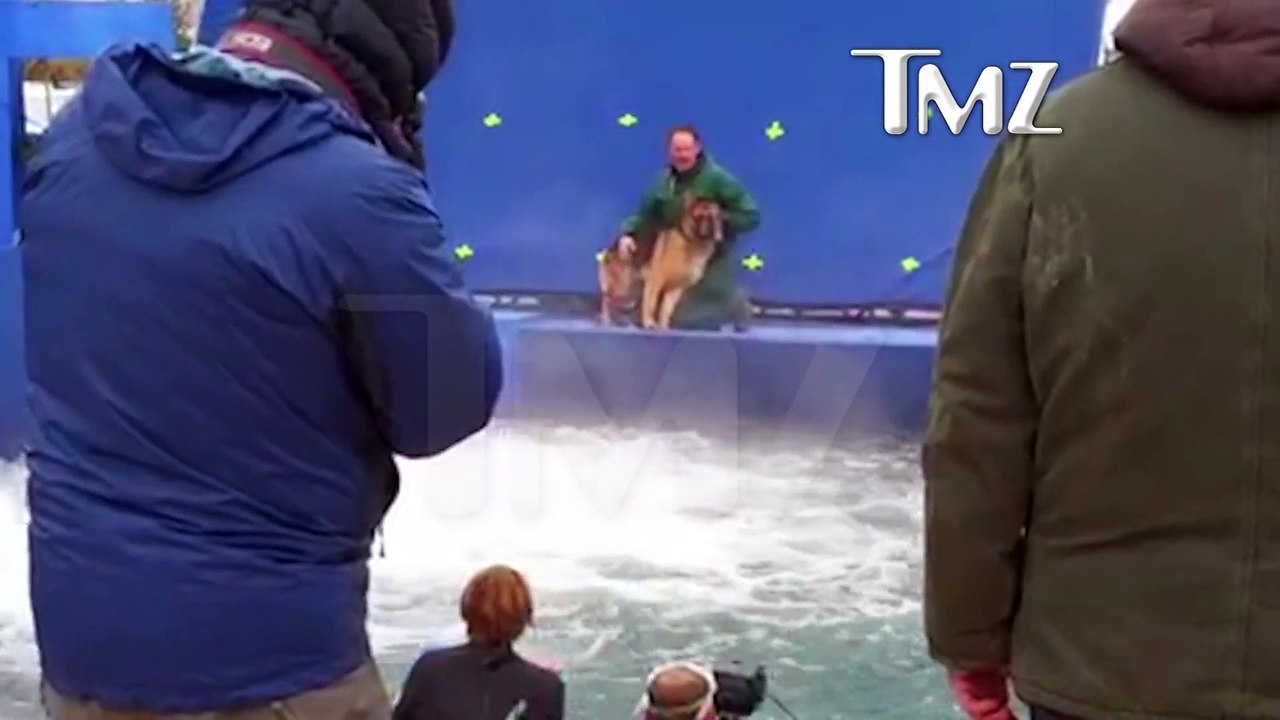 La vidéo d'un chien terrifié et poussé à l'eau de force pendant un tournage fait scandale