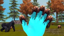Bear 3D Finger Family Rhymes For Children Top Animated | Top 10 Finger Family Rhymes