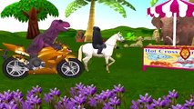 Dinosaurs & Gorilla Riding Horse 3D Animation Cartoons | Dinosaurs & Gorilla Finger Family Rhymes