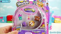 ОТДАВАТЬ!! Пользовательские Shopkin и Shopkins Wave 2 Слепой 5 Pack для 5-го сезона DIY бесплатно