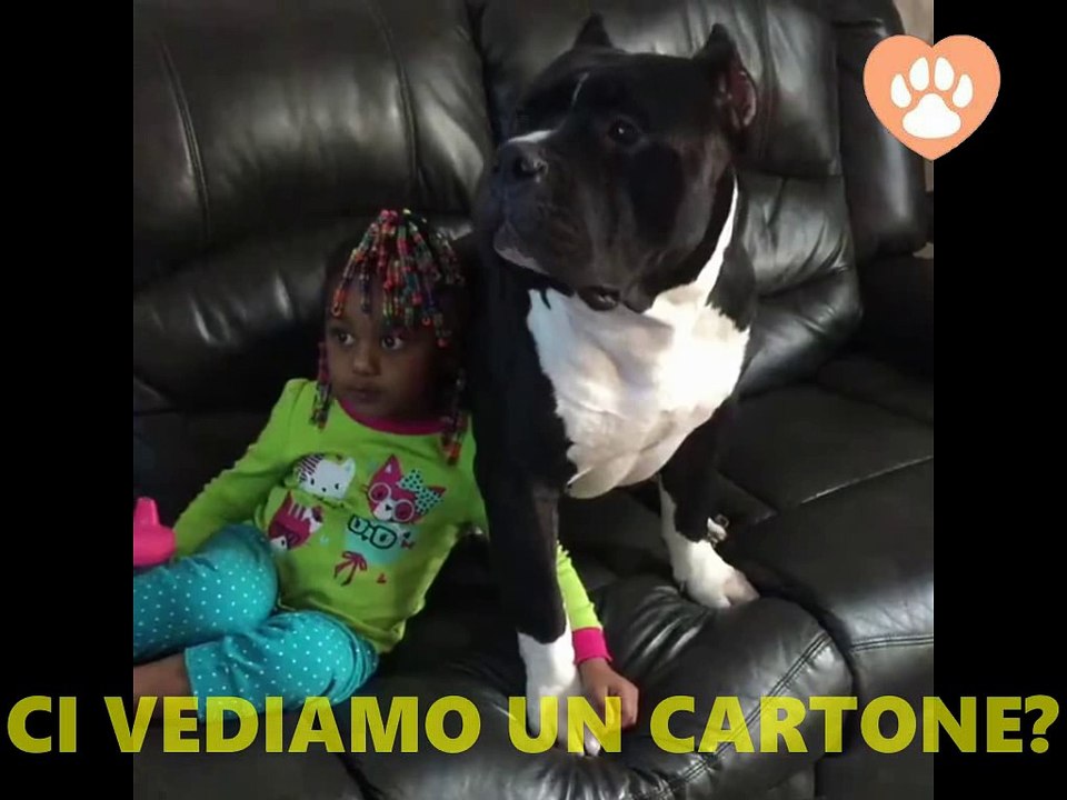 "Ci guardiamo un Cartone insieme!?" disse la Bimba al suo Migliore Amico