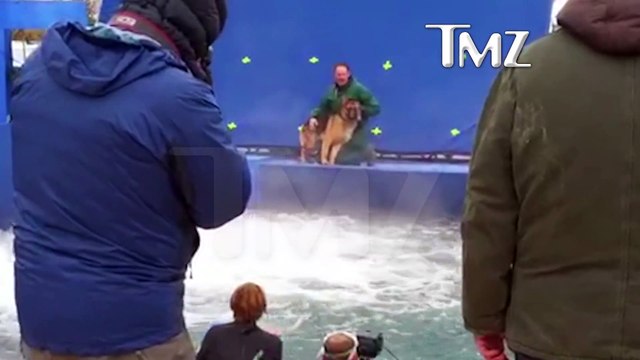 Un dresseur force un chien terrifié à rentrer dans leau pendant le tournage de « Mes vies de chien »
