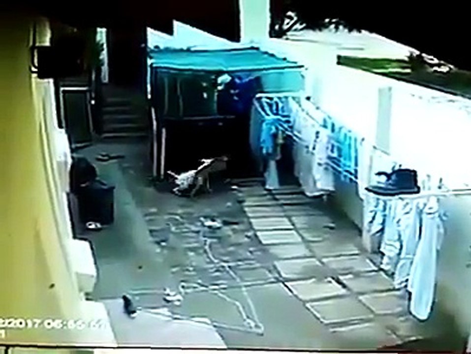 هبط باش يسرق .... حصل حصلة مشومة هههه مسكين