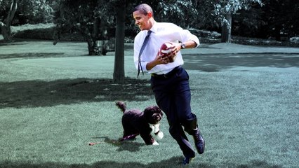 22 Adorable White House Pets