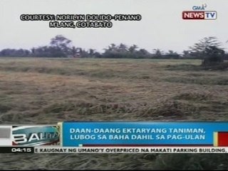 Daan-daang ektaryang taniman sa M'lang, Cotabato, lubog sa baha dahil sa pag-ulan