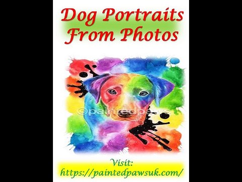 Dog Portraits From Photos