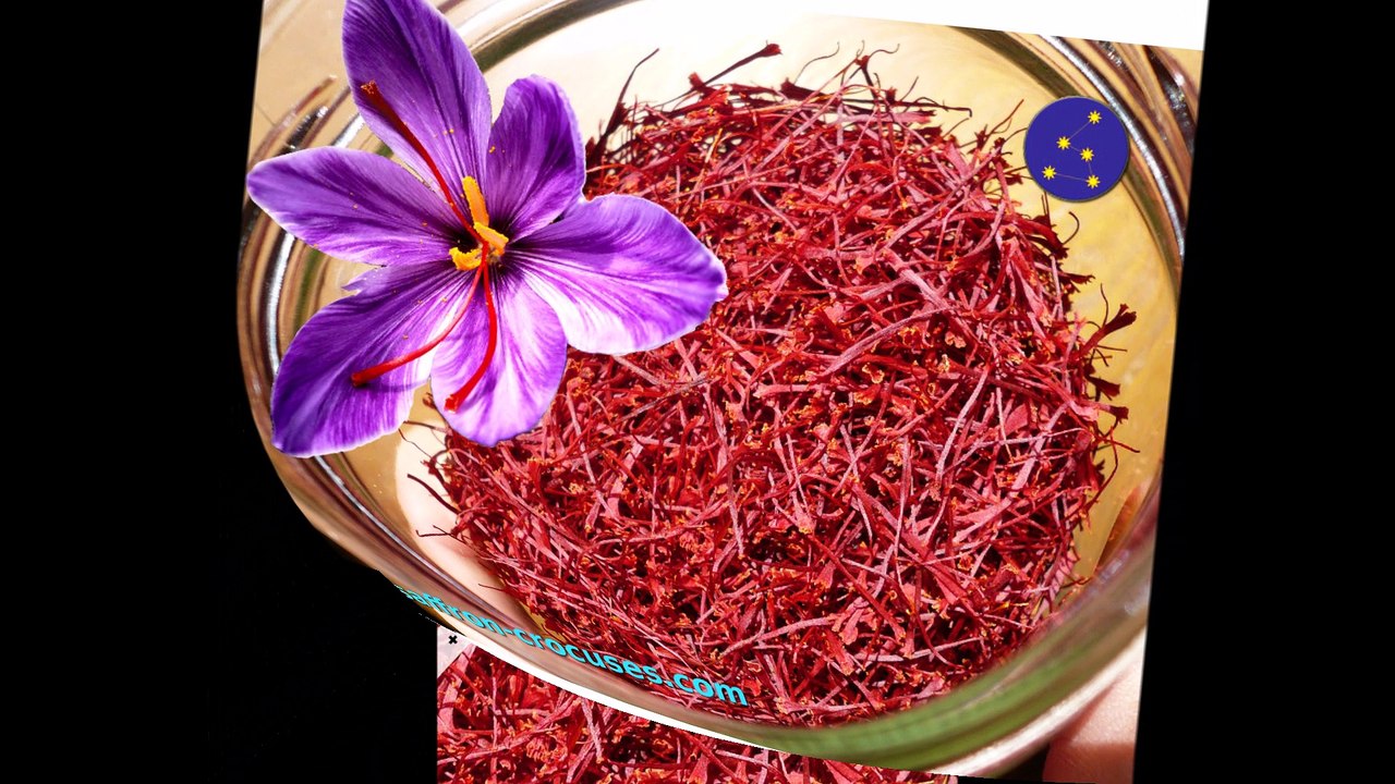 La Bible du Safran. Tout savoir sur le Roi des Épices de A à Z : Anthropologie, Chimie, Perception, Usages, Recettes etc