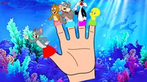 Tom and Jerry Mermaid Finger Family Song | Tom and Jerry Cartoon Nursery Rhymes for Kids