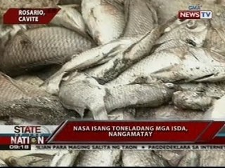 SONA: Nasa isang toneladang mga isda, nangamatay