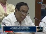 Saksi: Dating VM Mercado: May dummy companies si VP Binay na hindi idineklara sa SALN