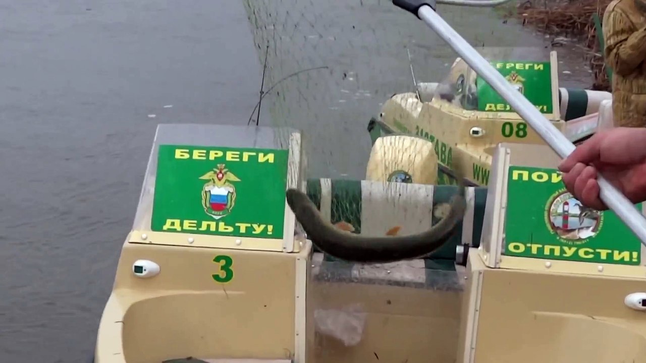 Ловля щуки сачком