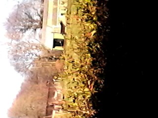 le bonheur est dans le pré