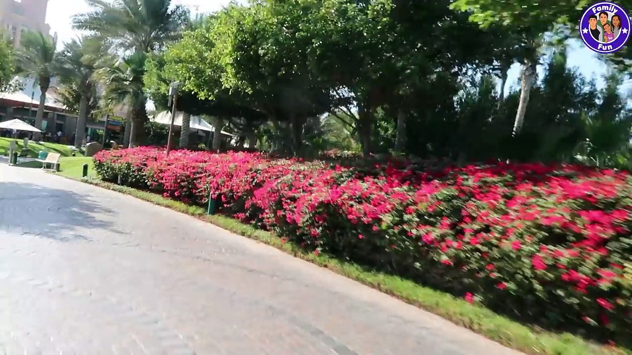 WASSERSPAß ATLANTIS WASSERPARK AQUAVENTURE WATERPARK DUBAI - FAMILY FUN