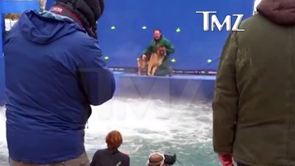 A Dog's Purpose: Un chien maltraité lors du tournage !