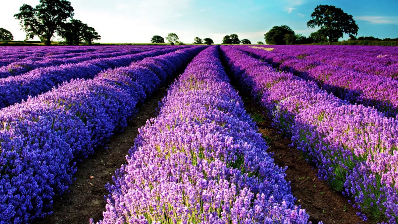 【Healing Cafe】優しく慈しむピアノ曲 ＃10 「あの日に帰れたら」　Gently Cherishing Piano Music " If I canreturn to that day "