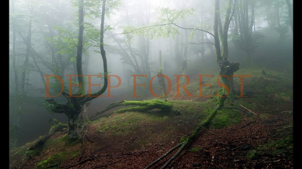 Deep Forest Last teaser