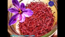 Saffron Spice : Discover Saffron SATIVOR® for Gastronomic and Medicinal uses