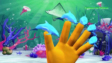 Dolphin Finger Family Nursery Rhymes For Kids | Dolphin Cartoon Finger Family Rhymes