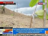 Libu-libong seedlings, itinatanim ngayong araw bilang bahagi ng 'Treevolution: Greening Mindanow'