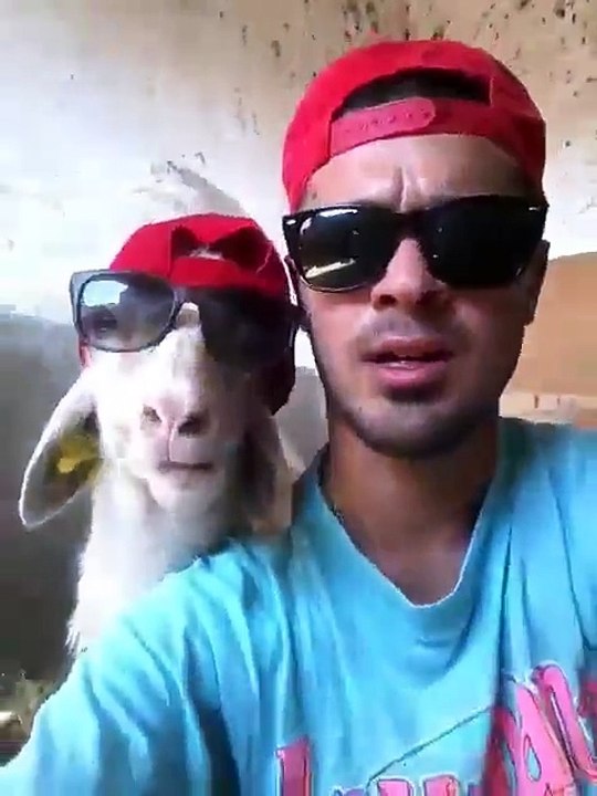 Ma mir shokun dhi se shum njer,qapo thu ni ju hahahah,,,