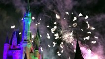 The Magic of Disney Fireworks | Kinder Playtime Walt Disney World Celebration Trip Vlog Part 6