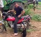 Very Funny Monkey ride motorcycle قرد ملوش حل