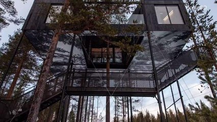 Vacation in Sweden and Sleep in the Trees