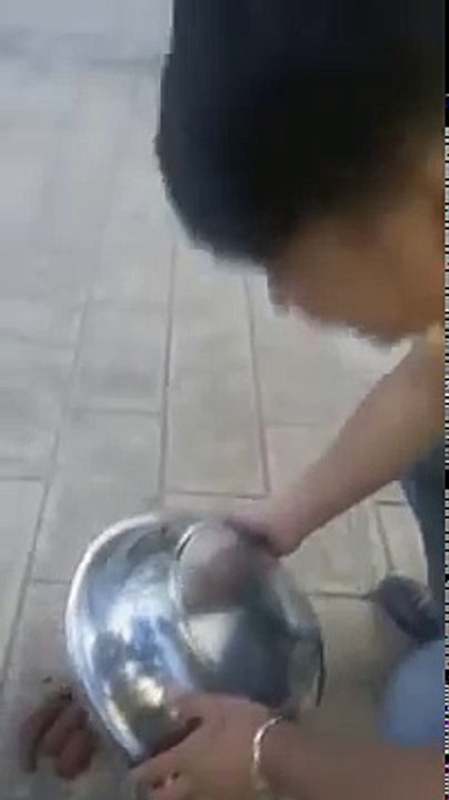 funny videos that make you laugh so hard you cr...