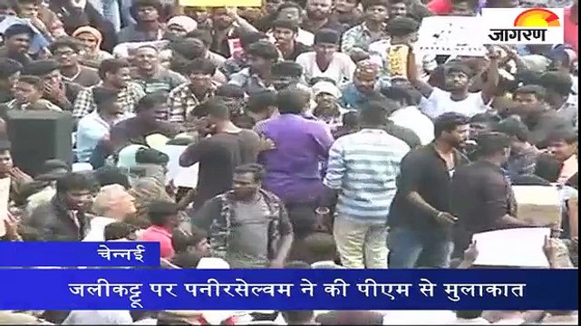 जलीकट्टू पर पनीरसेल्वम ने की पीएम से मुलाकात