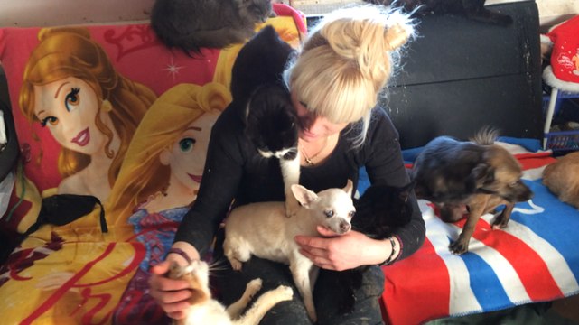 De quoi souffre la plupart des animaux handicapés?