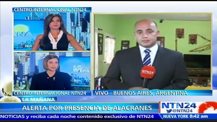 Médico explica cómo proceder al ser picado por un alacrán ante sobrepoblación de estos animales en Buenos Aires