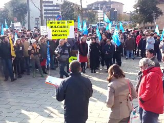 Crise aviaire : manifestation contre l’abattage massif des canards