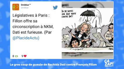Rachida Dati dézingue François Fillon : les internautes s'en mêlent !