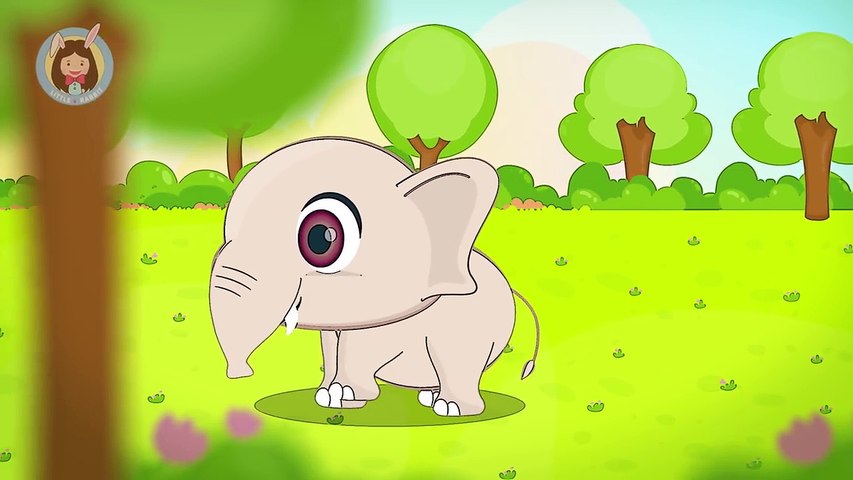 เพลงช้าง | ช้าง ช้าง ช้าง น้องเคยเห็นช้างหรือเปล่า | การ์ตูน เพลงเด็ก by Little Rabbit