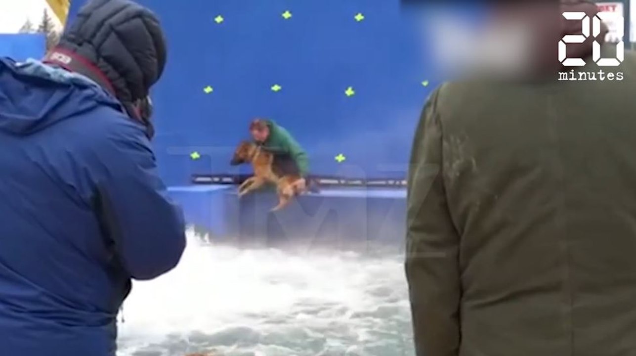 Un chien maltraité sur le tournage d'un film - Le rewind du jeudi 19 janvier 2017