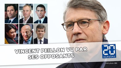 Vincent Peillon vu par ses opposants