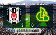 Besiktas 3-0 Darica Genclerbirligi - All Goals & Highlights HD -19.01.2017 HD