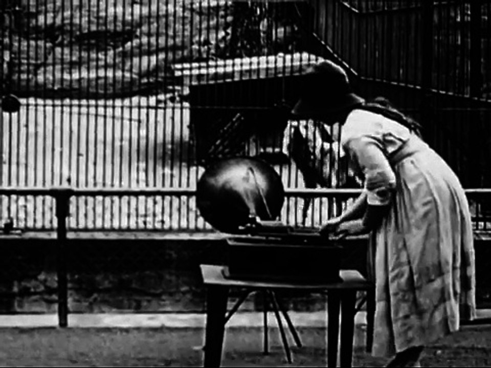 L'influence de la musique sur les animaux