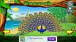 Животные зоопарка Интерактивная игра платно на андроид фильм игры приложения бесплатно дети лучшие топ-телевизионный фильм