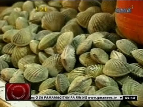 24Oras: Publiko, pinag-iingat laban sa red tide sa baybayin ng Alaminos