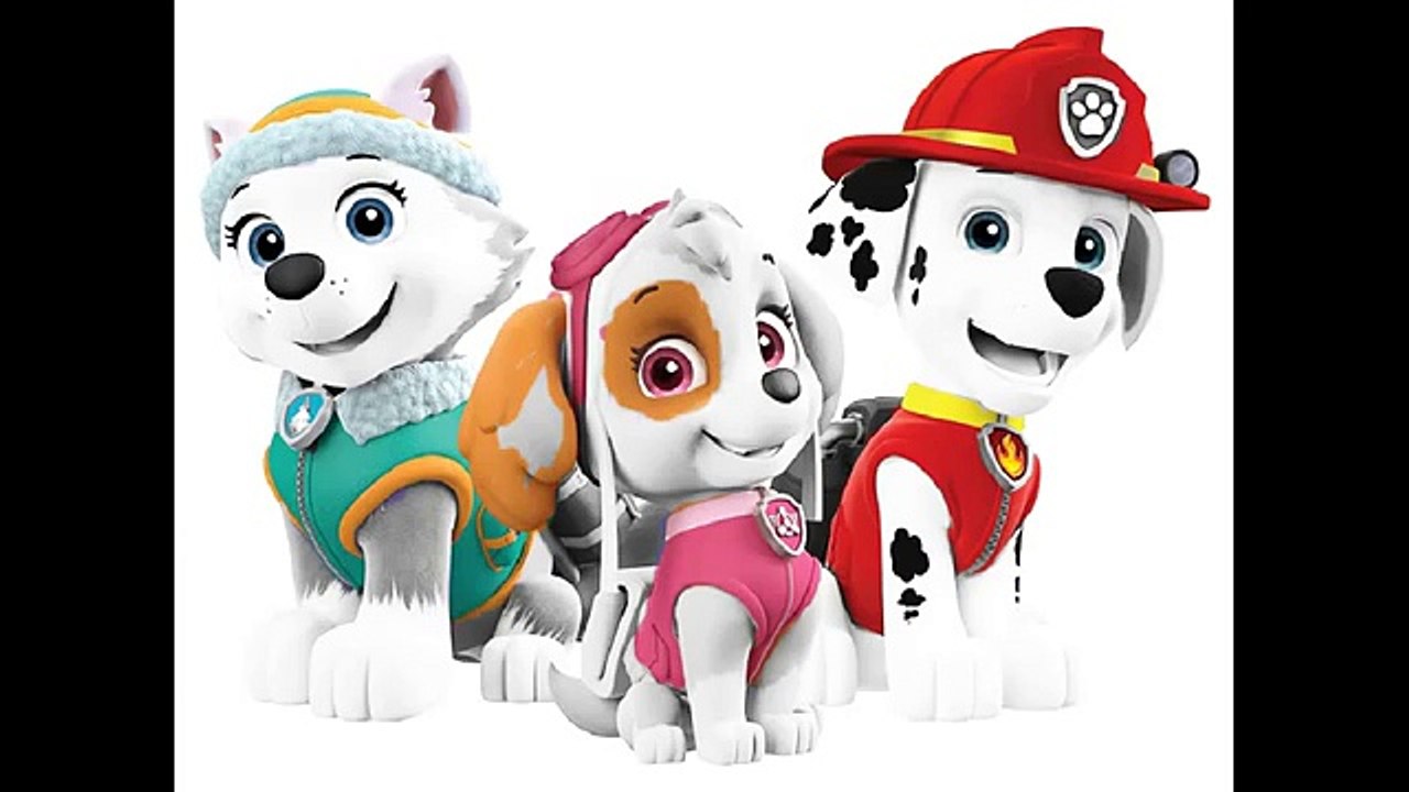 Paw Patrol Coloring Pages for Kids I Everest, Sky, Marshall - Pups Coloring Page