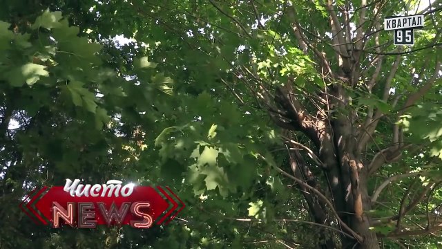 Приколы от Жеки -Туристическая фишка. Гопники на Троещине | Смешное видео.