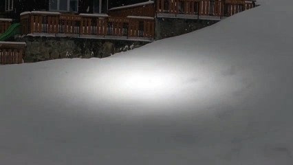 Dog stops two skiers to get some very important assistance