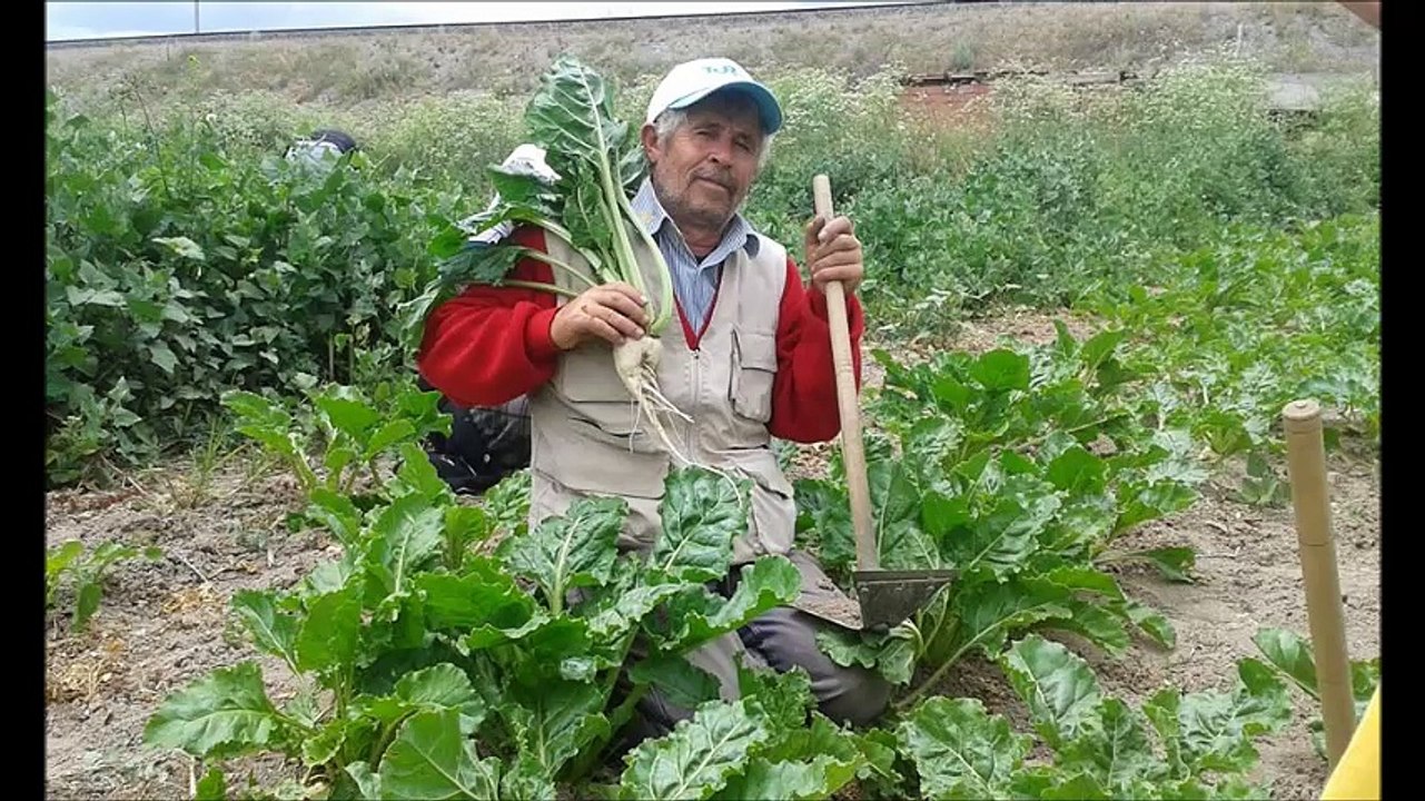 Şimdi anlıyorum kendi suçumu