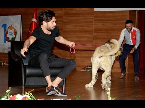 Hayrettin'in, sahnede zor anları