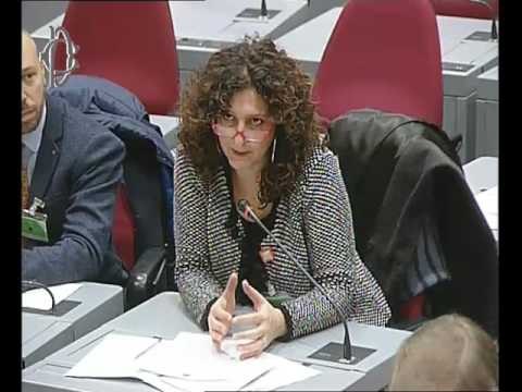 Roma - Crisi Mezzogiorno, audizione Ilva e Regioni e Province autonome (19.01.17)