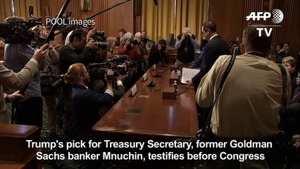 Trump's Treasury Secretary Mnuchin testifies before Congress