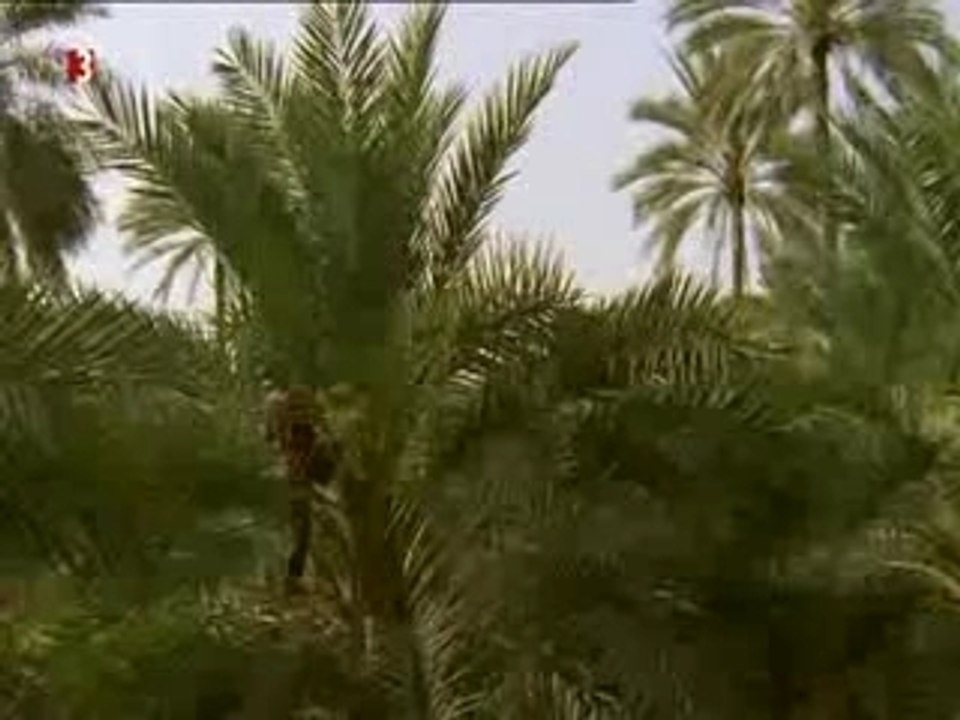 Das fort von bahrain - perle im arabischen golf