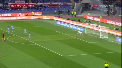 But de Radja Nainggolan - Roma VS Sampdoria (1-0)