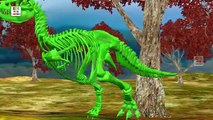 Crazy Dinosaur Skeleton Finger Family | Dinosaur Family Cartoon 3D Nursery Rhymes for Children